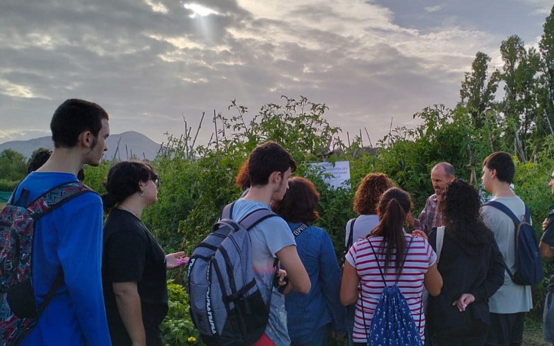 Estudiantes del IES Ciudad de Coín vista el campo de experimetación de Tradytech