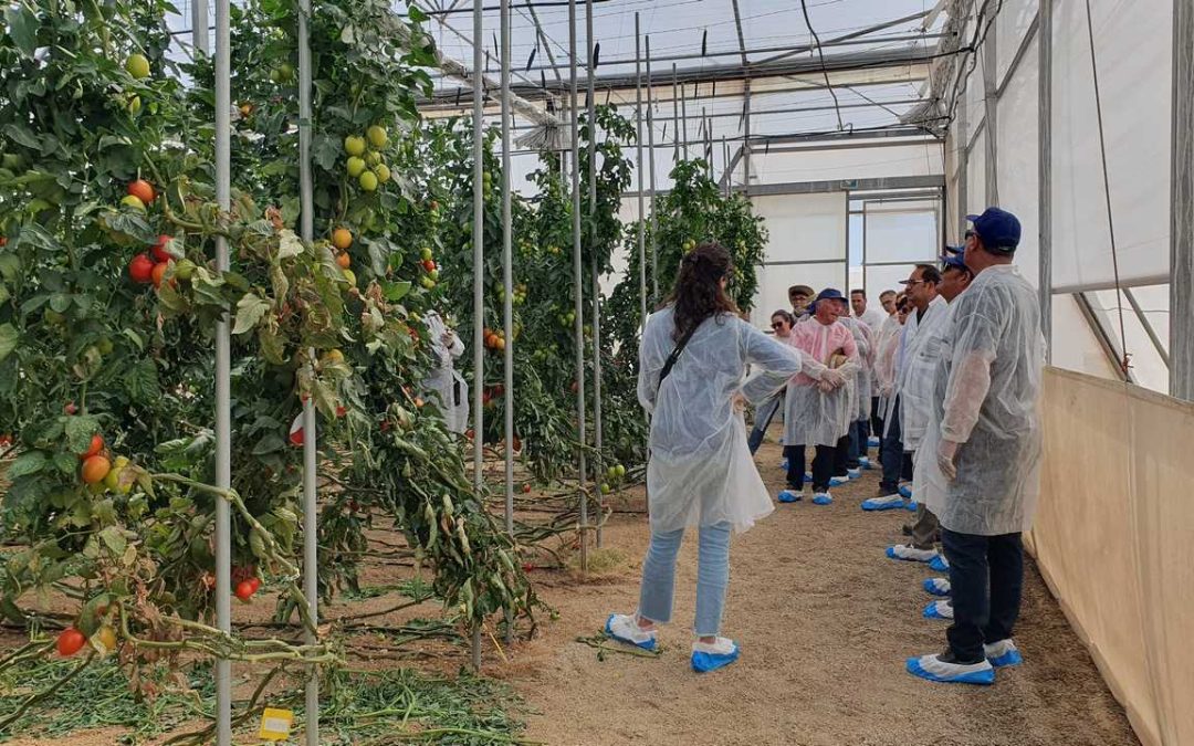 Visita técnica a El Ejido