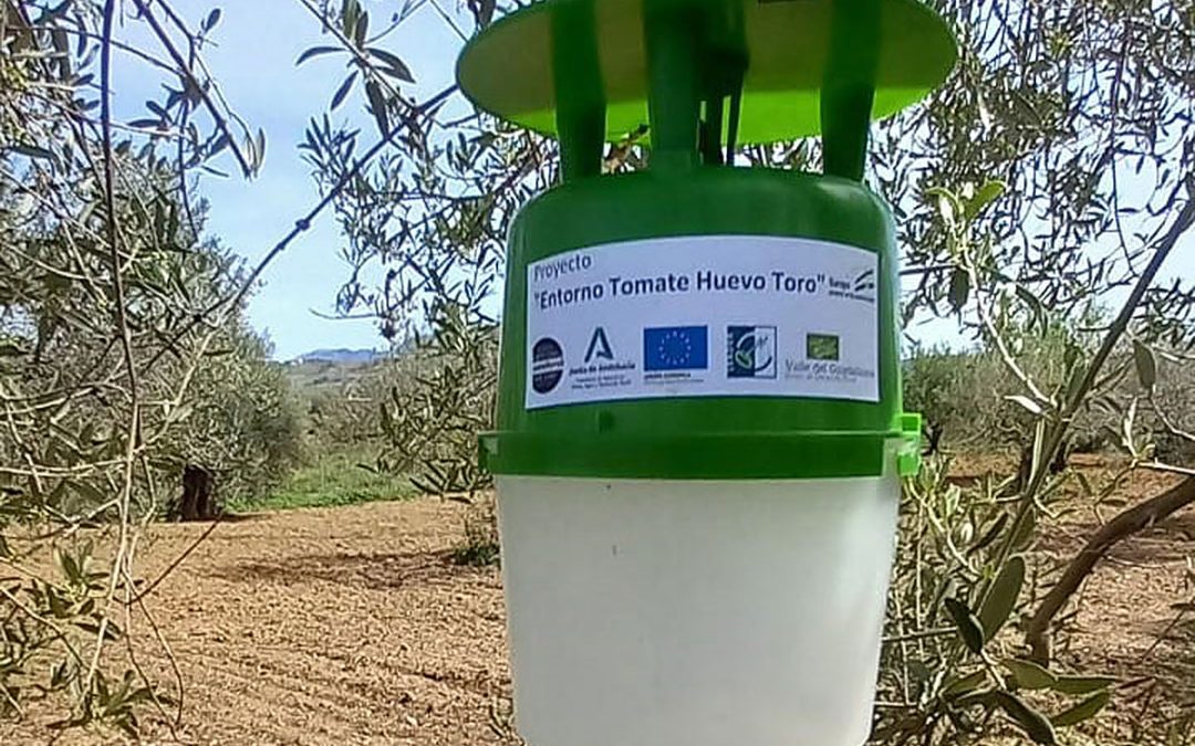 Estudio de las curvas de vuelo de los principales lepidópteros que afectan al cultivo