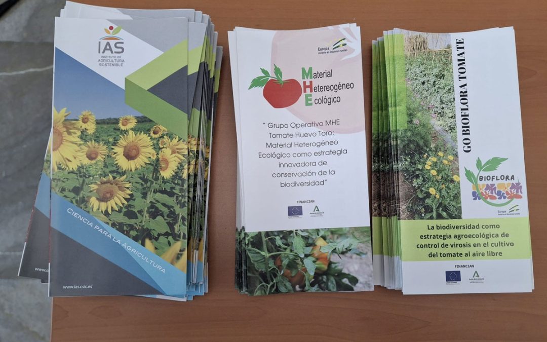 Los Grupos Operativo entorno al Tomate Huevo Toro en AGRO-HUB II ANDALUCÍA