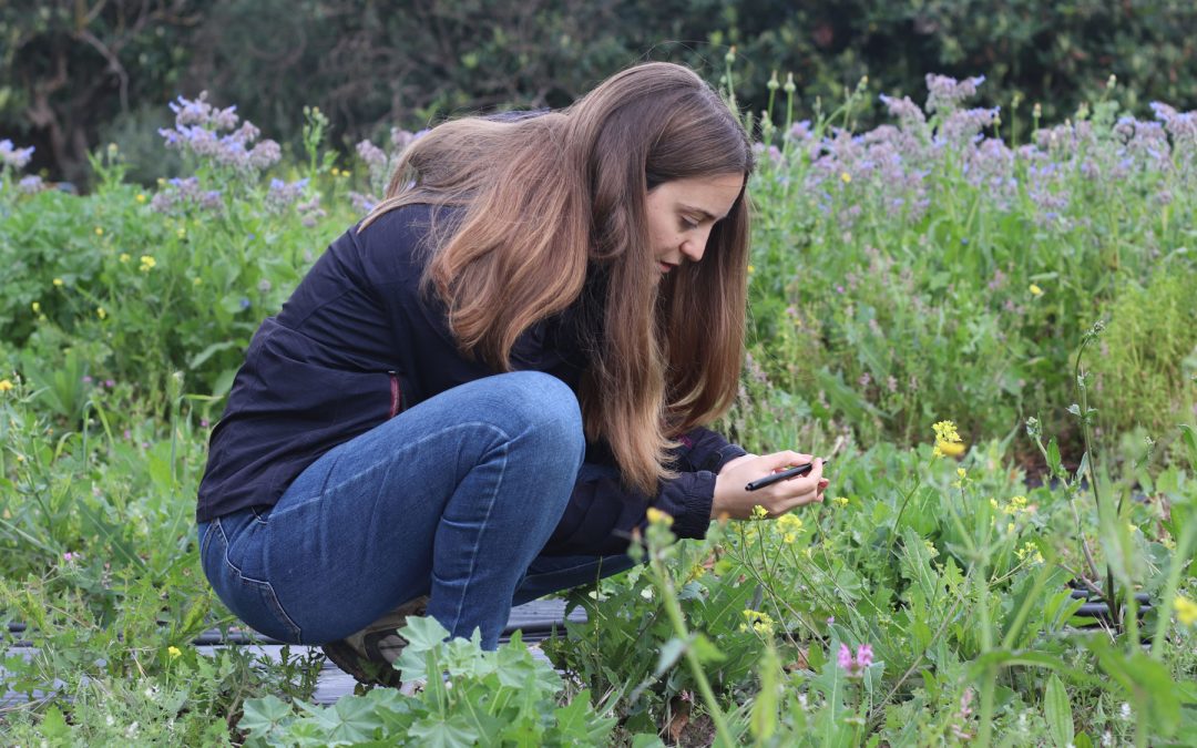 Registro de flora y entomofauna asociada