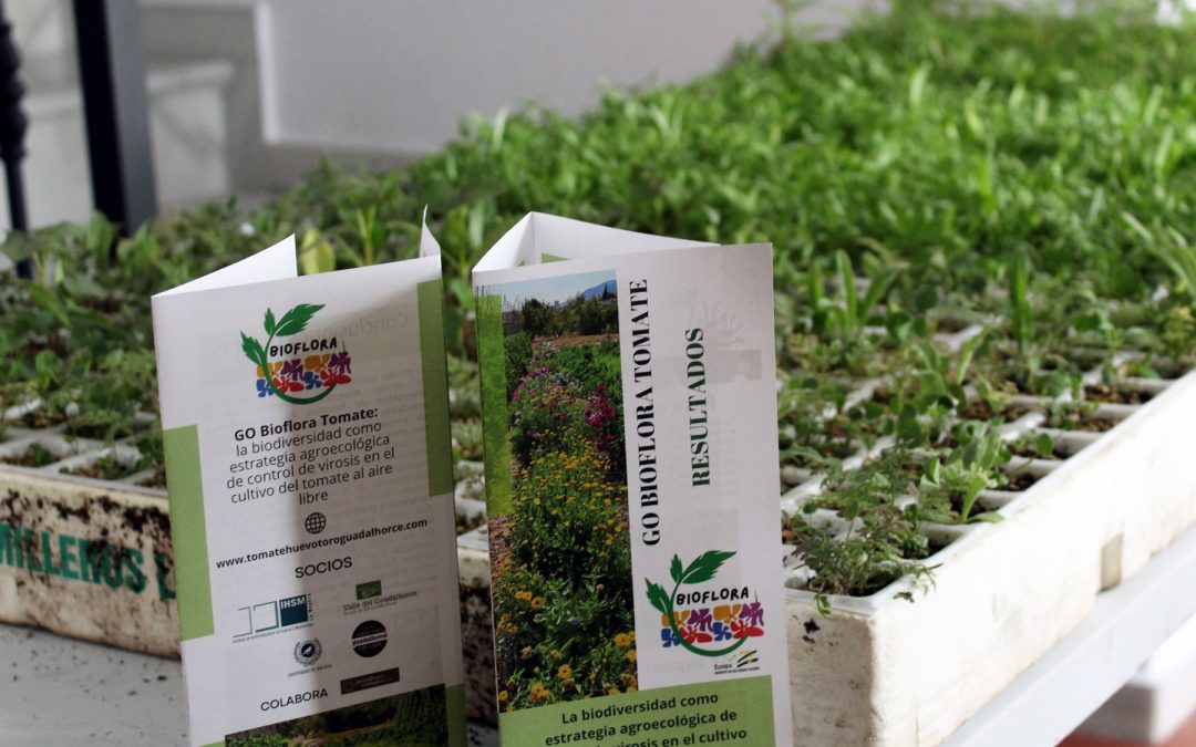 Jornada Final del GO Bioflora, un innovador grupo operativo en torno al tomate Huevo Toro