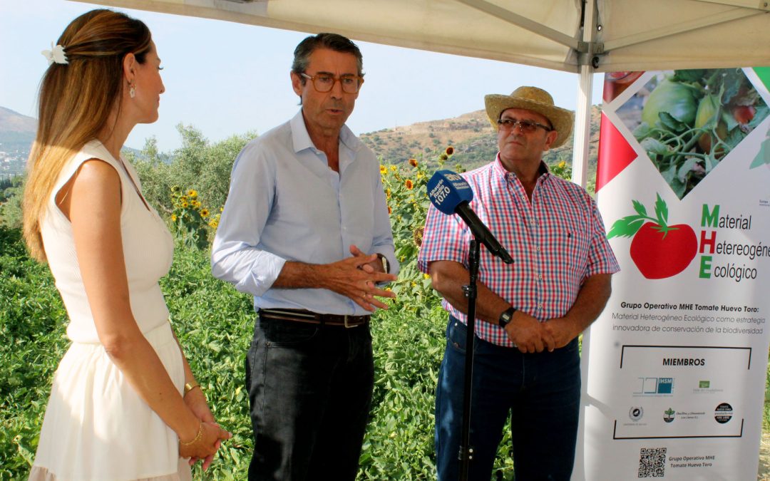 Jornada Final GO MHE Tomate Huevo Toro y exposición de resultados