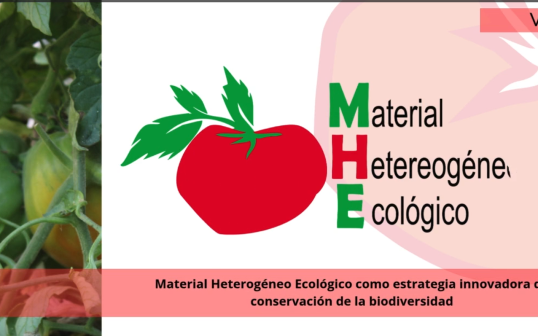 Video presentación del proyecto GO MHE Tomate Huevo de Toro